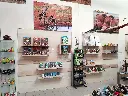 MIT003_Aëla (3).webp