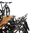 MIT016_Oz (3).webp