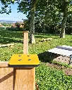JAJ011_Ilot de fraicheur (5).webp