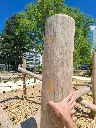 JAJ015_Escalacours (3).webp