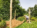MAO003_Robipure (7).webp