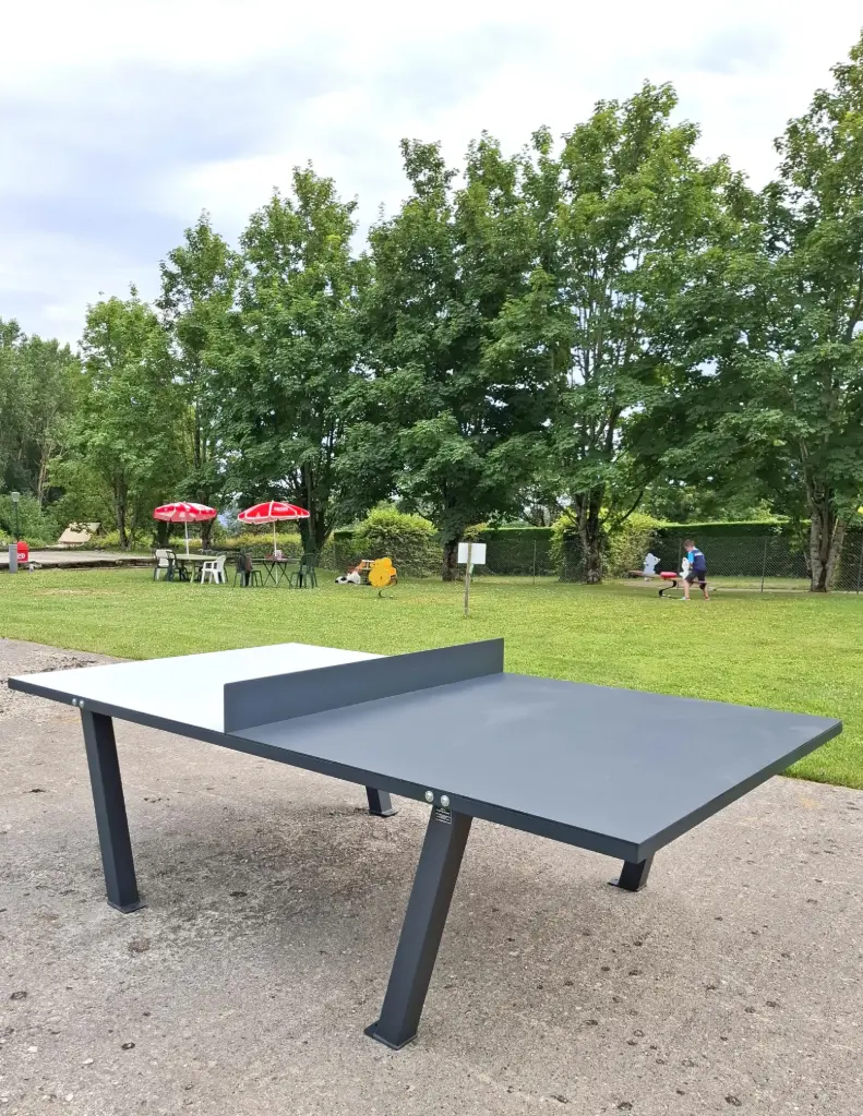Bram - Table ping pong